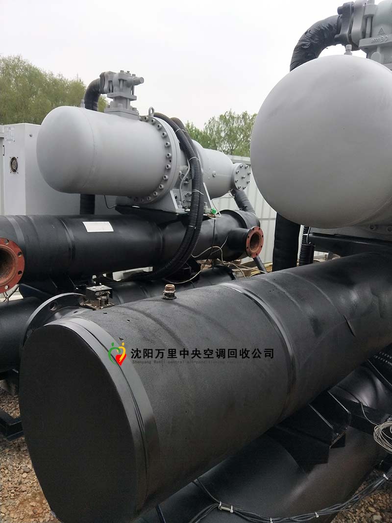 1621564139552560.jpg 1621564139552560.jpg